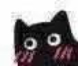 :blackcat_blush: