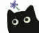 :blackcat_idea: